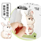 Cute Animal Sticky Note