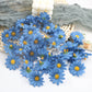 Sunflower Flowers 10pcs Set
