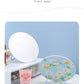 Standing Mirror