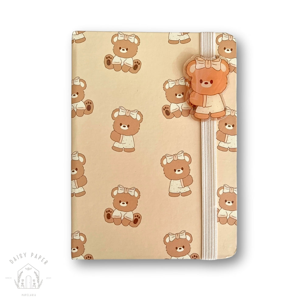 Mini Teddy Diary
