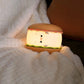 Sandwich Lamp