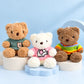 Kawaii Sweater Teddy Bear