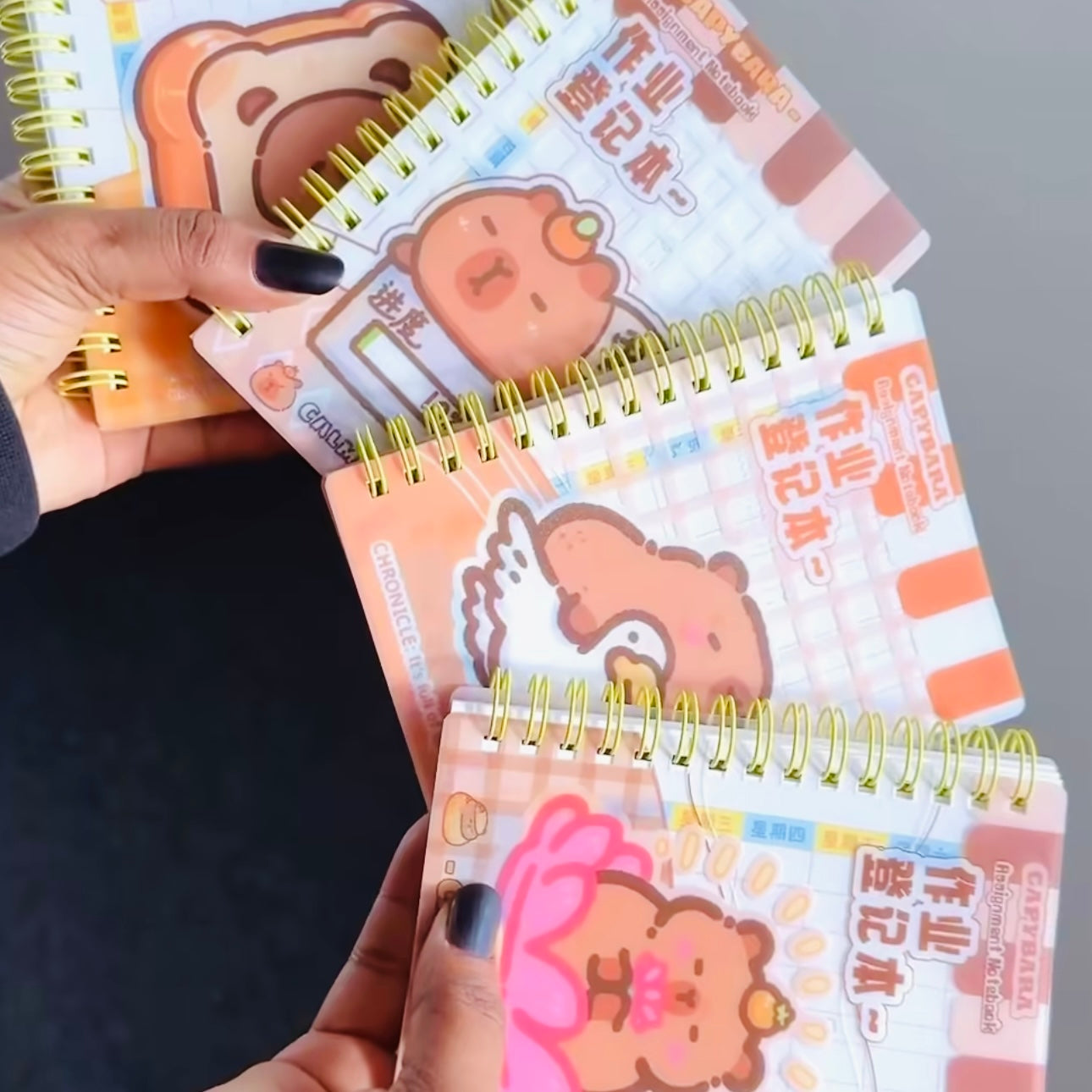 Capybara Mini Notebook
