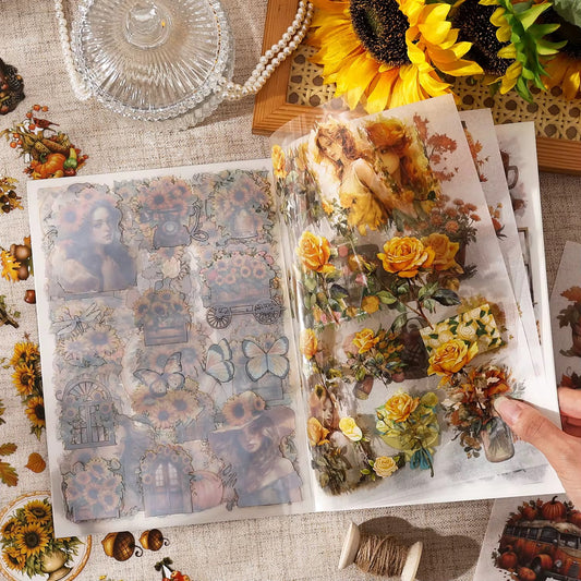 Past Series Sticker Book