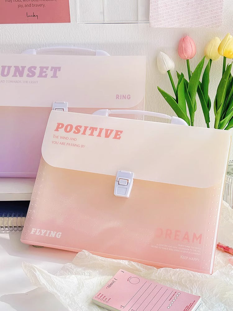 Large Capacity File Folder