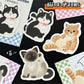 Kitty Sticky Note
