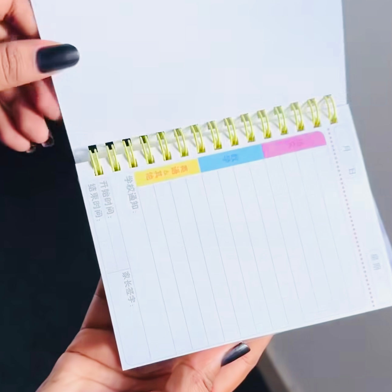 Capybara Mini Notebook