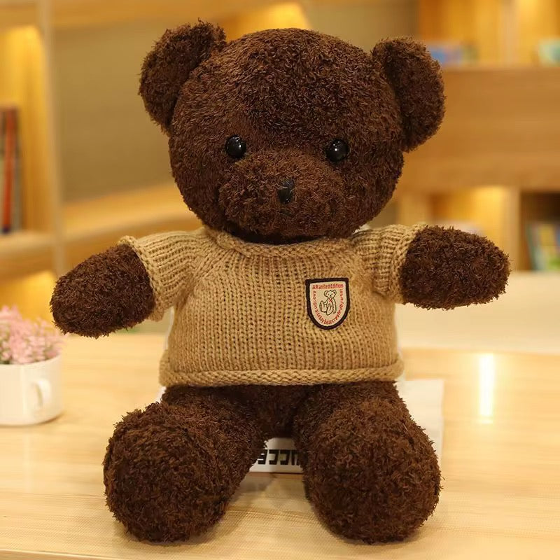 Teddy Plush Toy
