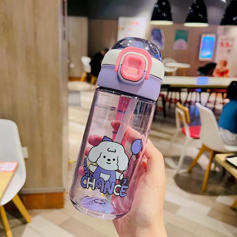Kawaii Water Bottle