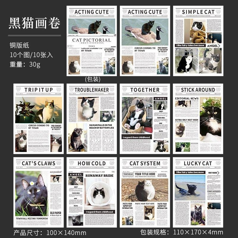 Cat Newspaper Deco Sticker