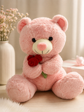 Sweetheart Teddy Plushie
